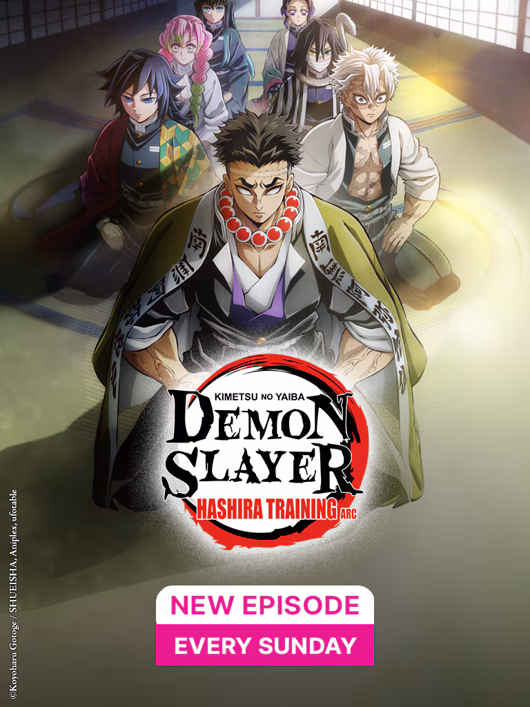 Demon Slayer Season 4 (Hashira Training Arc) in Hindi Dubbed